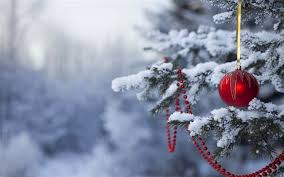 winter woods- christmas